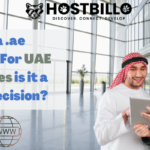 Buy a .ae Domain For UAE Websites