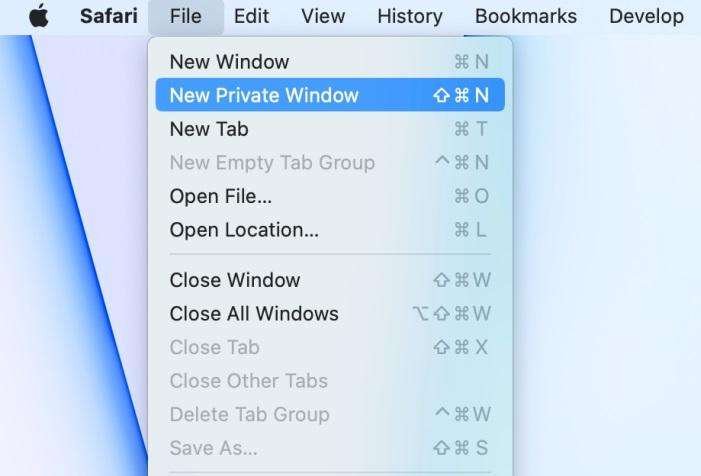 Disable Safari Private Browsing on Mac