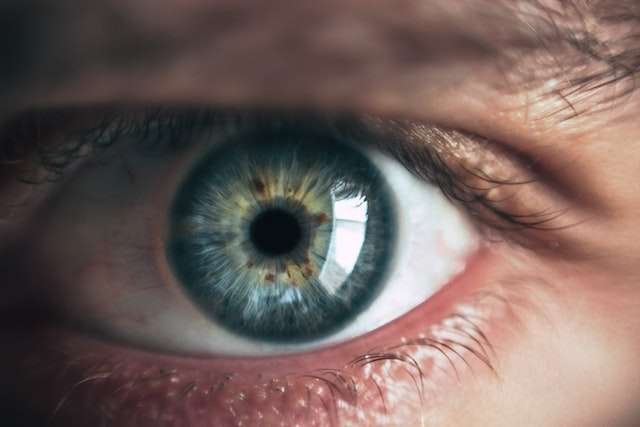 a-comprehensive-guide-to-common-eye-conditions-symptoms-causes-and