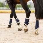 Why Horse Boots are Essential